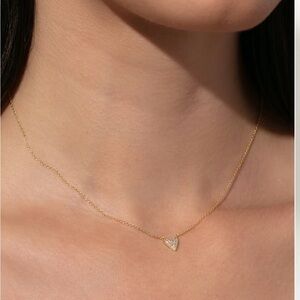 BNWT Uncommon James Full Heart Necklace $30